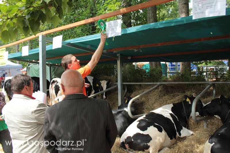  XX Targi Rolnicze Lubniewice