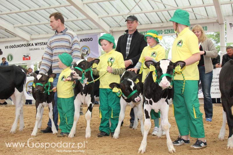 Mali Hodowcy VII Ogólnopolska Wystawa Bydła Hodowlanego w Sielinku 2012
