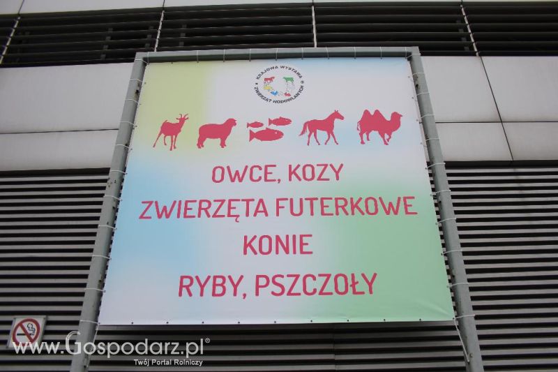 XXVI Krajowa Wystawa Zwierząt Hodowlanych - piątek