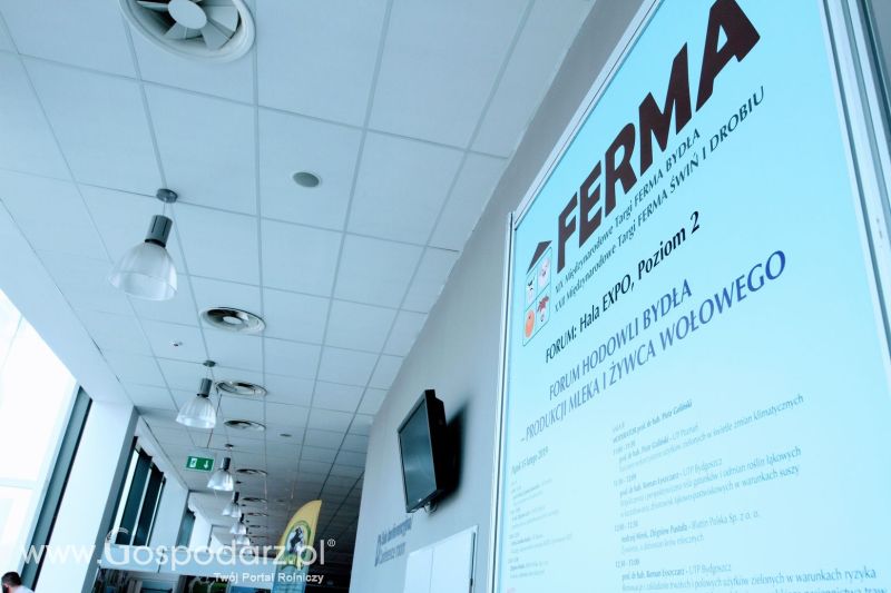 Ferma 2019 dzień 2