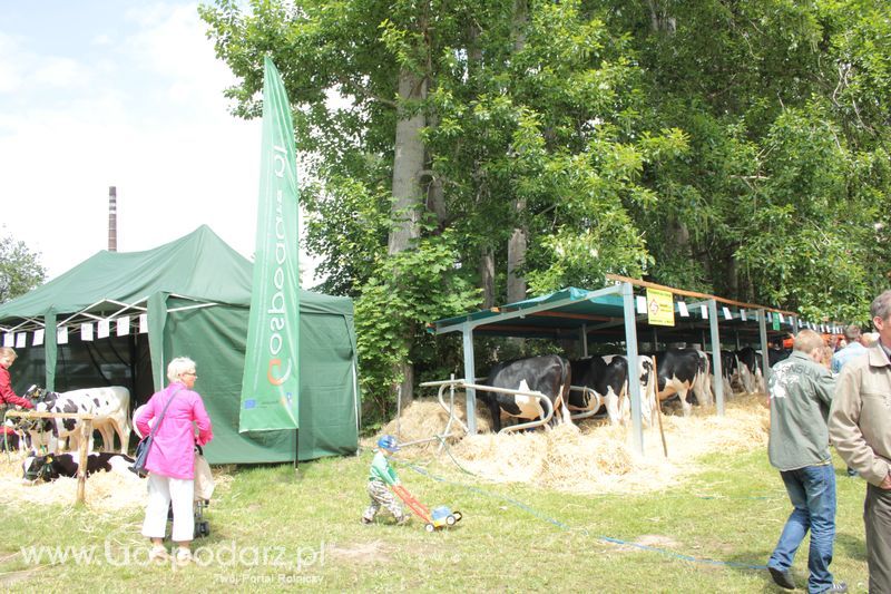 XX Targi Rolnicze Lubniewice 