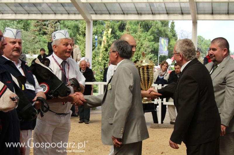 Championi VII Ogólnopolskiej Wystawy Bydła Hodowlanego - Sielinko 2012