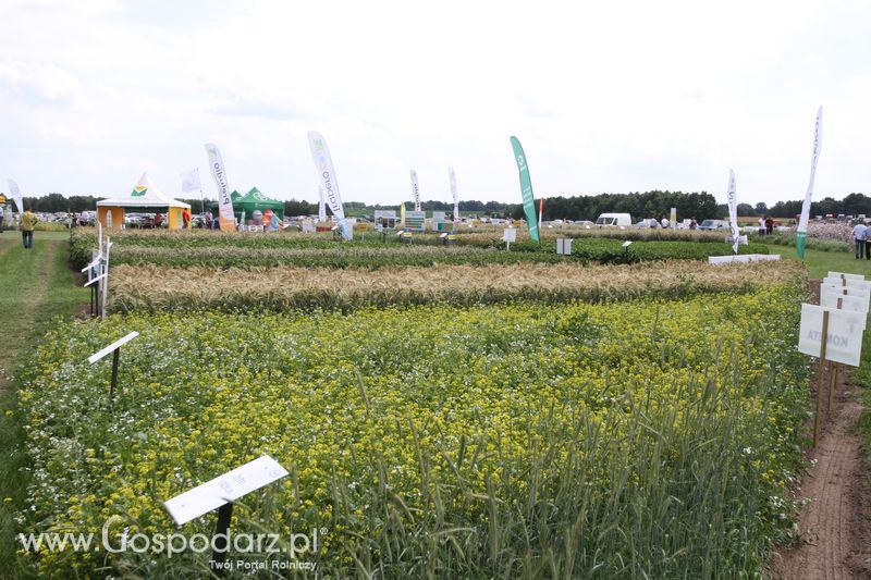 AgroTech Minikowo 2016