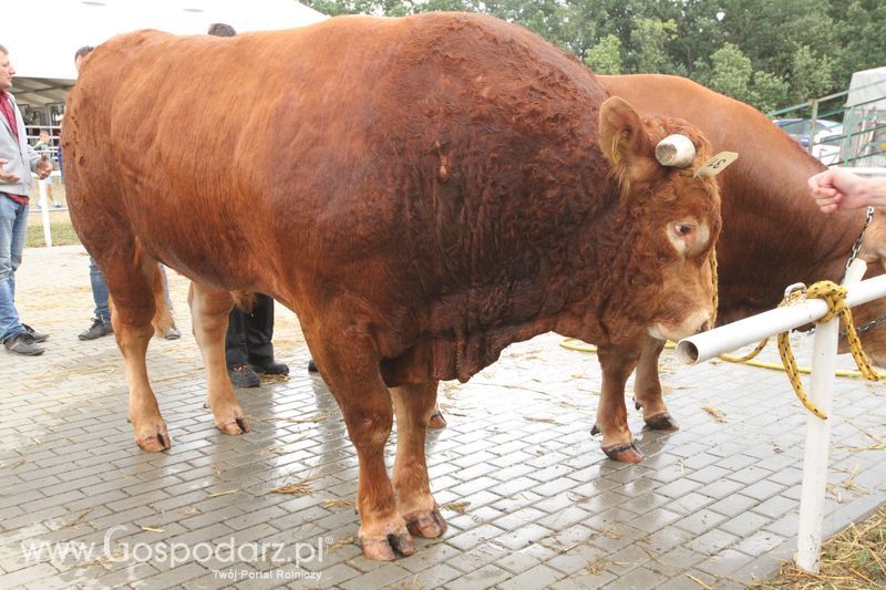 Agro-Tech Minikowo 2018