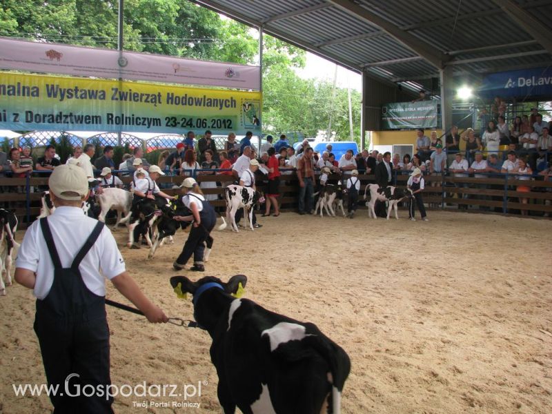 Młody Hodowca - Szepietowo 2012 XIX Regionalna Wystawa Zwierząt Hodowlanych