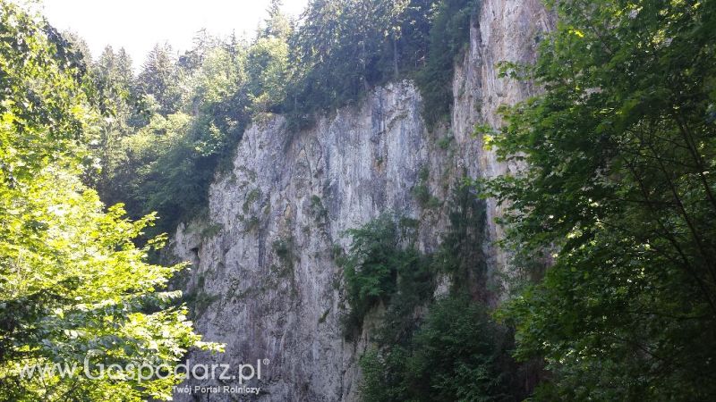Precyzyjni Gospodarze w Czechach