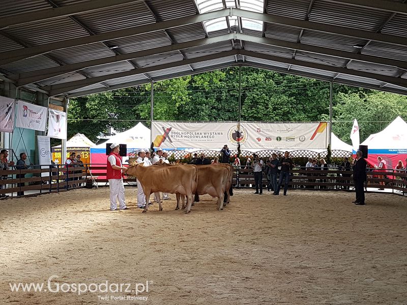 XXIV Regionalna Wystawa Zwierząt Hodowlanych – Szepietowo 2018