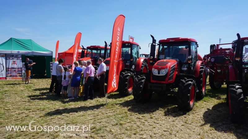 Zetor na ZIELONE AGRO SHOW w Ułężu 2017