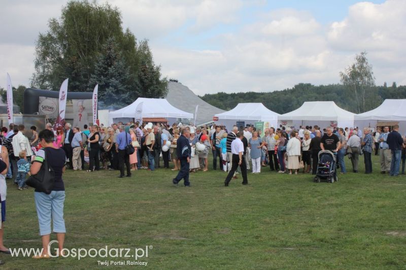 Świętomięs Polski w Chorzowie