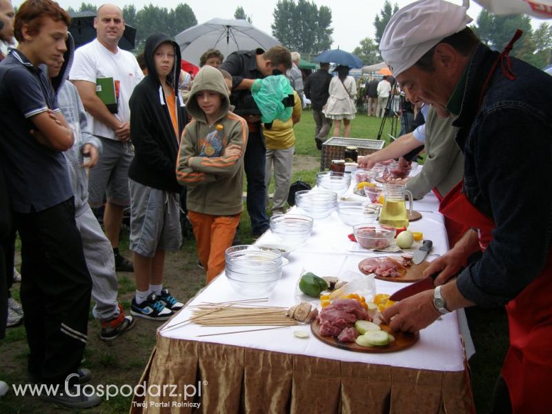 II Festiwal Wieprzowiny w Kwidzyniu