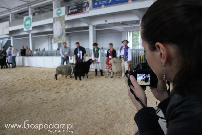 XXVI Krajowa Wystawa Zwierząt Hodowlanych - sobota i niedziela