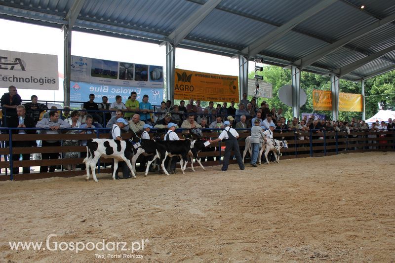 Młody hodowca na XVIII Regionalnej Wystawie Zwierząt Hodowlanych w Szepietowie
