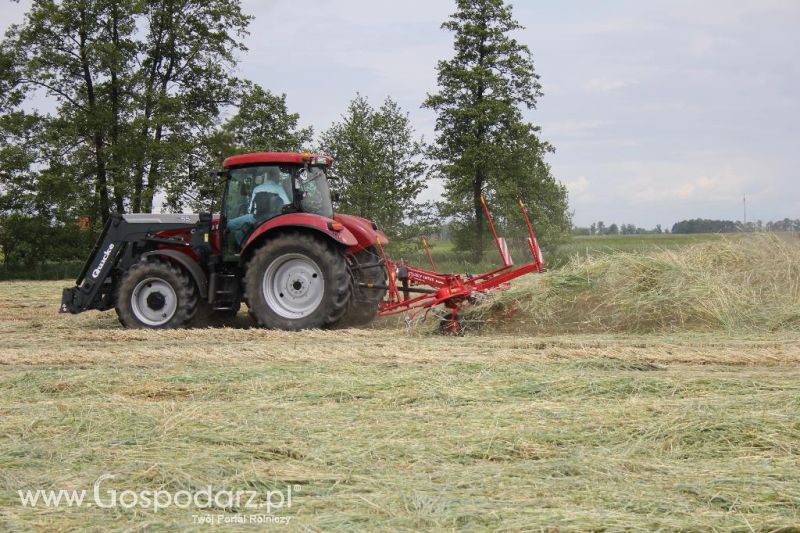 Pokazy polowe Romanów k/Krotoszyna