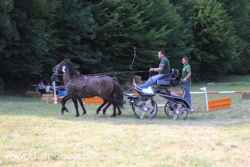 Pokazy konne i wręczenie nagród w Rudawce Rymanowskiej