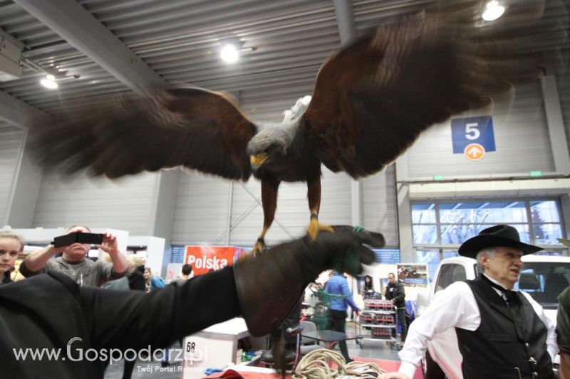 CAVALIADA 2013 w Poznaniu