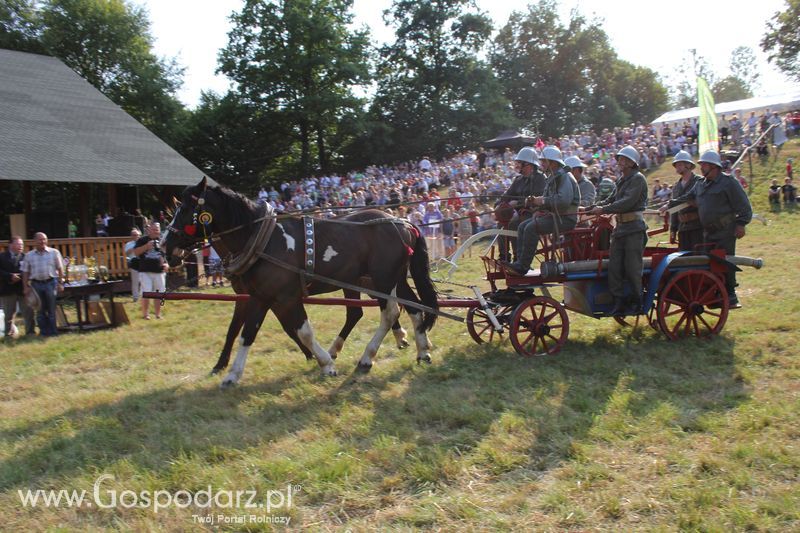 Pokazy konne i wręczenie nagród w Rudawce Rymanowskiej