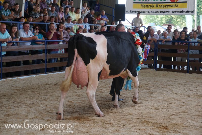 Wystawa zwierząt w Szepietowie