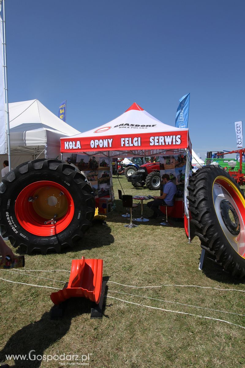 Grasdorf Koła Polska Sp. z o.o. na Targach Agro-Tech w Minikowie