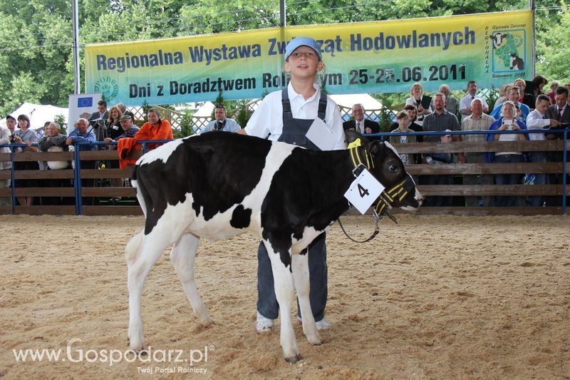 Młody hodowca na XVIII Regionalnej Wystawie Zwierząt Hodowlanych w Szepietowie