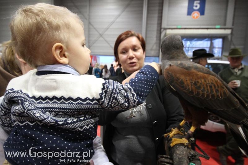 CAVALIADA 2013 w Poznaniu