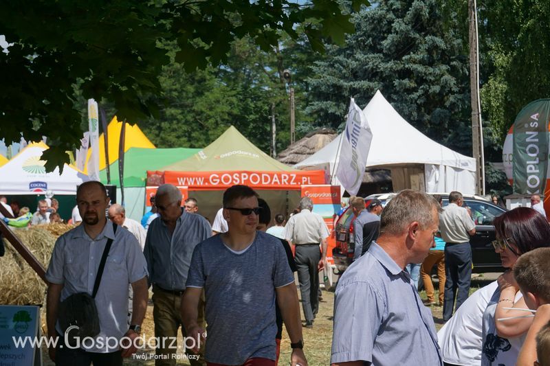 Targi rolne w Szepietowie (27-28.06.2015)