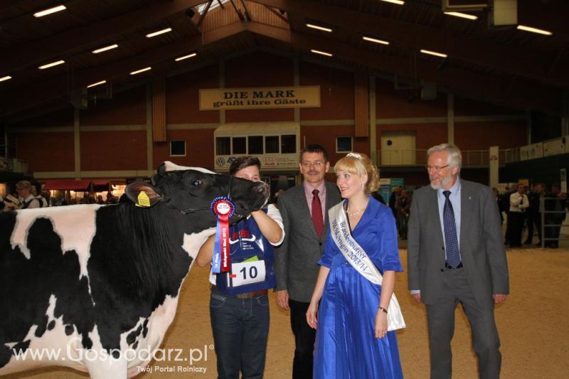 Wystawa  Blickpunkt Rind 2013 w miejscowości Paaren/Glien (Niemcy)