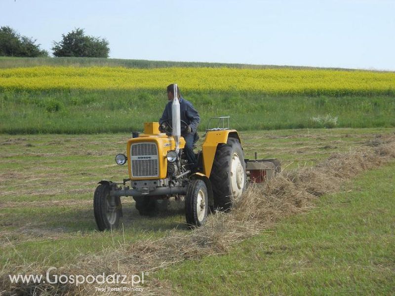 Piotrek9095-Sianokosy 2012