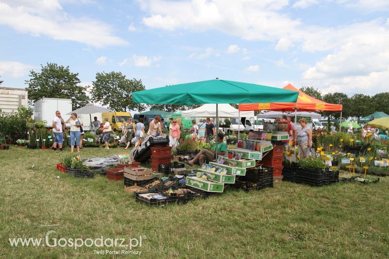 AgroTech Minikowo 2016