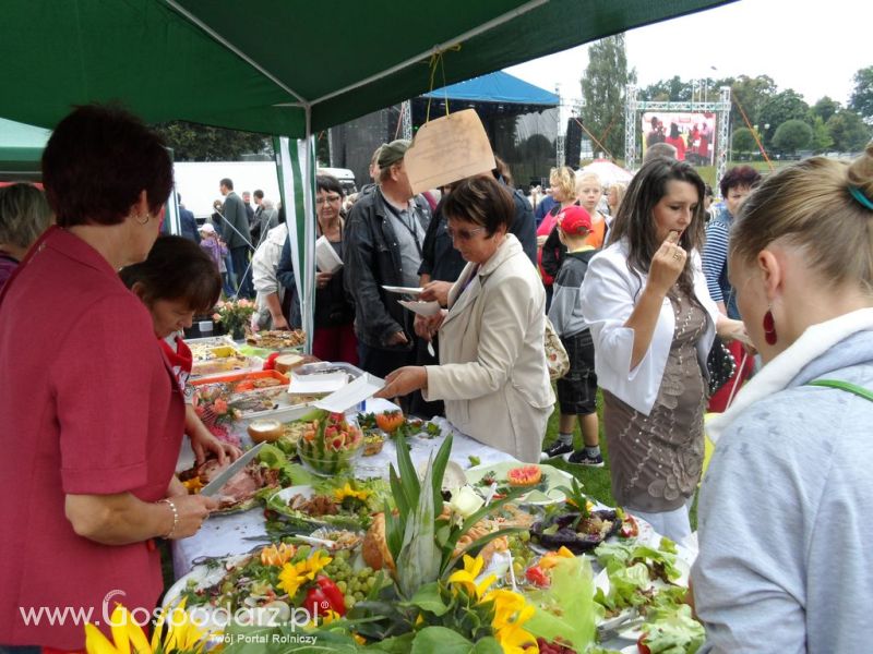 II Festiwal Wieprzowiny w Kwidzyniu