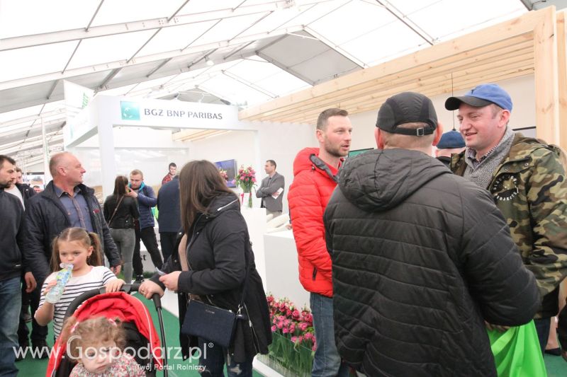 XXV AGROTECH Kielce 2019 dzień 3