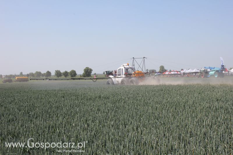 Polskie Zboża 2011 - Piątek 