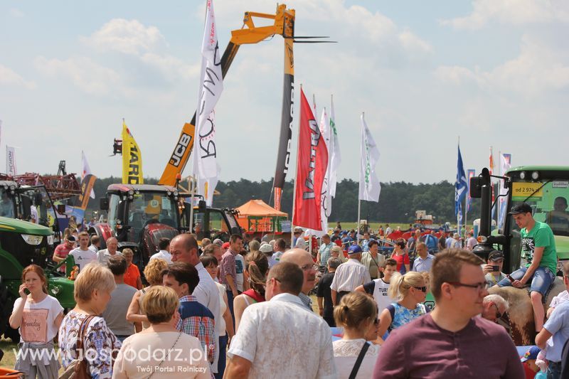 Niedziela na Opolagrze 2016 razem z Gospodarz.pl