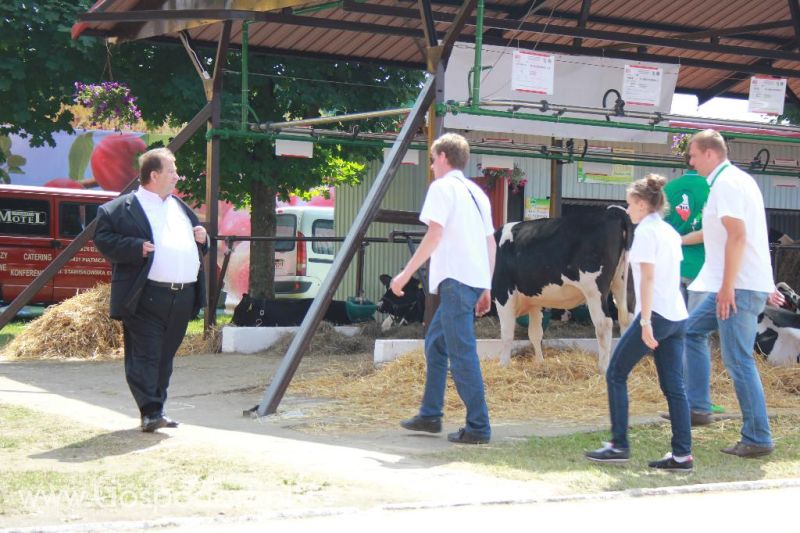 Regionalna Wystawa Zwierząt Hodowlanych i Dni z Doradztwem Rolniczym w Szepietowie-sobota