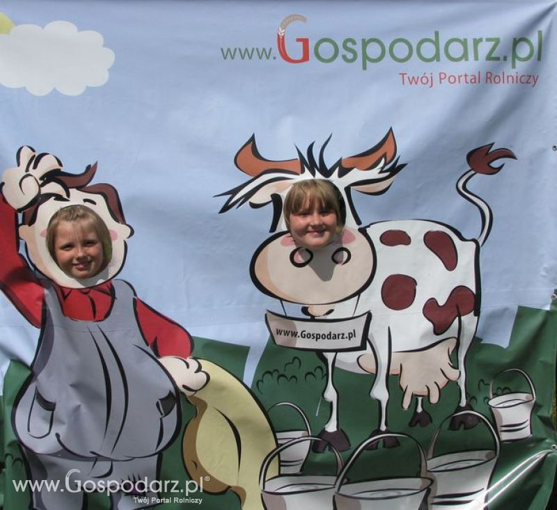 Wielkopolskie Targi Rolnicze „Sielinko 2011”  - Krówka Gospodarza