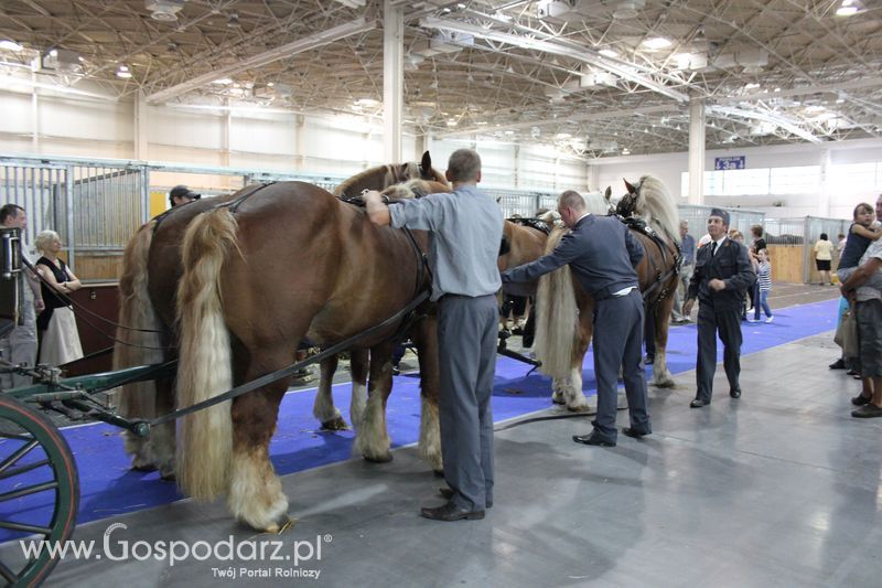XXV Krajowa Wystawa Zwierząt Hodowlanych Niedziela