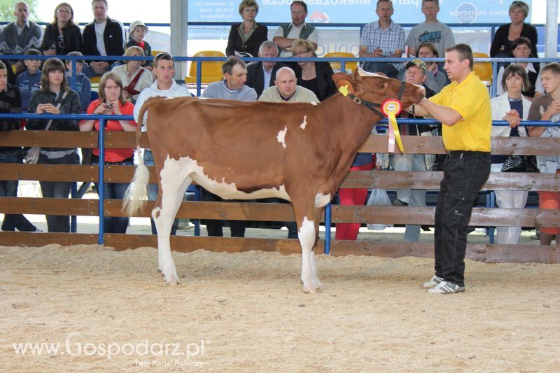 Wręczenie nagród na XVIII Regionalnej Wystawie Zwierząt Hodowlanych w Szepietowie