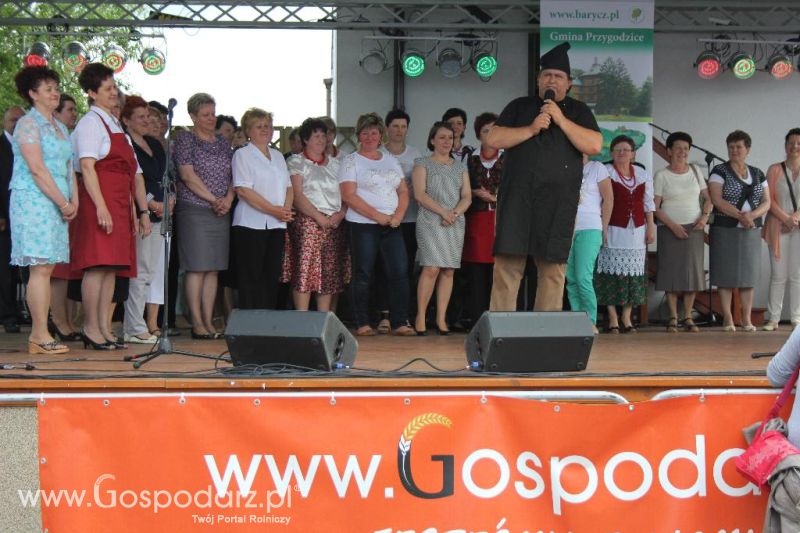 Święto Kaczki w Przygodzicach