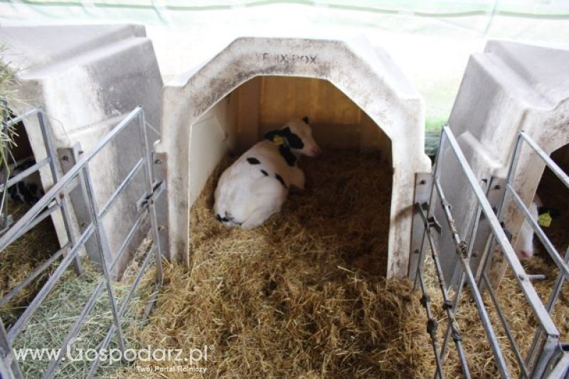 Wyjazd studyjny na farmę w Hohenhameln (Niemcy)