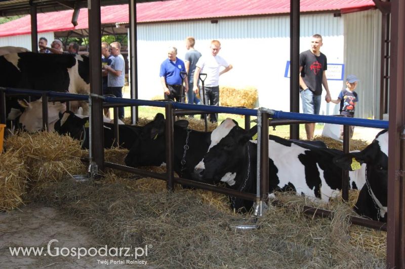 Regionalna Wystawa Zwierząt Hodowlanych i Dni z Doradztwem Rolniczym w Szepietowie-sobota