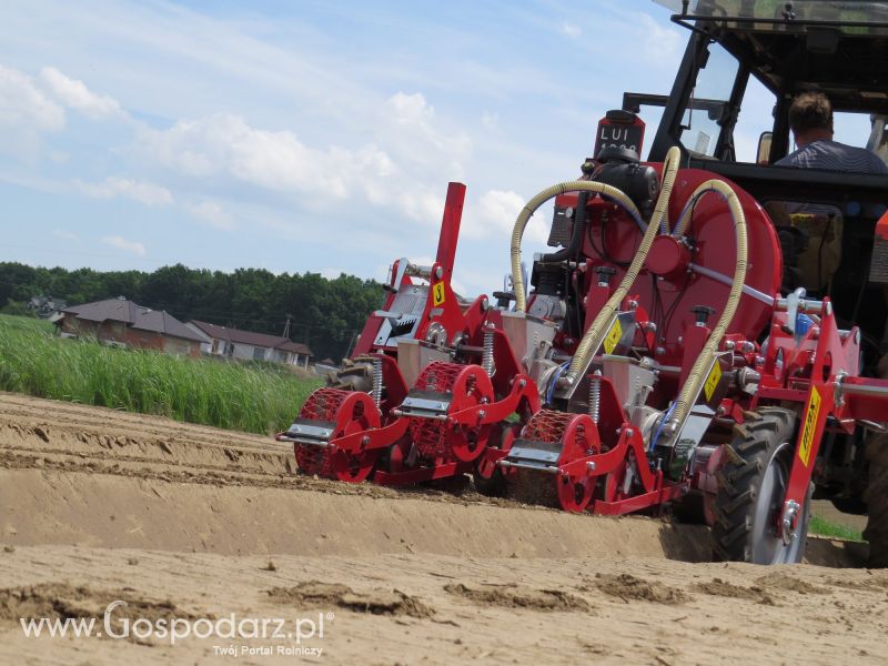 Agregat AUR2 i siewnik pneumatyczny MAX PNEUMATIC  w pracy