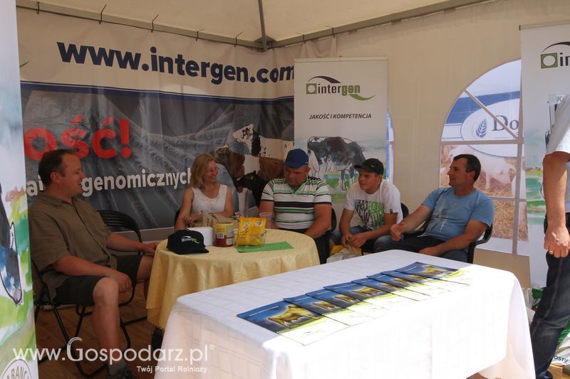 Intergen na OPOLAGRZE 2015