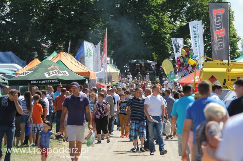 Targi rolne w Szepietowie (27-28.06.2015)
