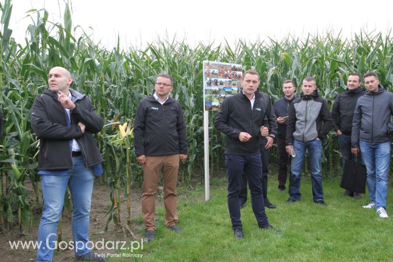 Poletka doświadczalne Caussade Nasiona w Dziećmiarkach 2017