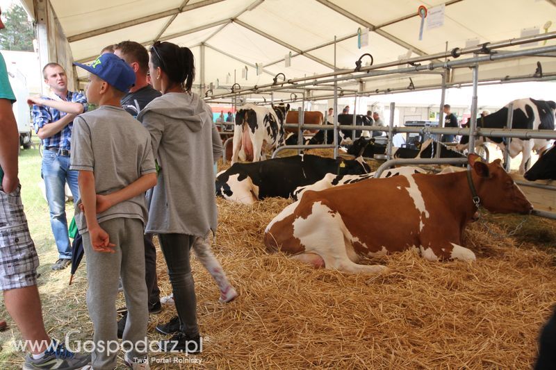 Sobota na Opolagrze 2016 razem z Gospodarz.pl