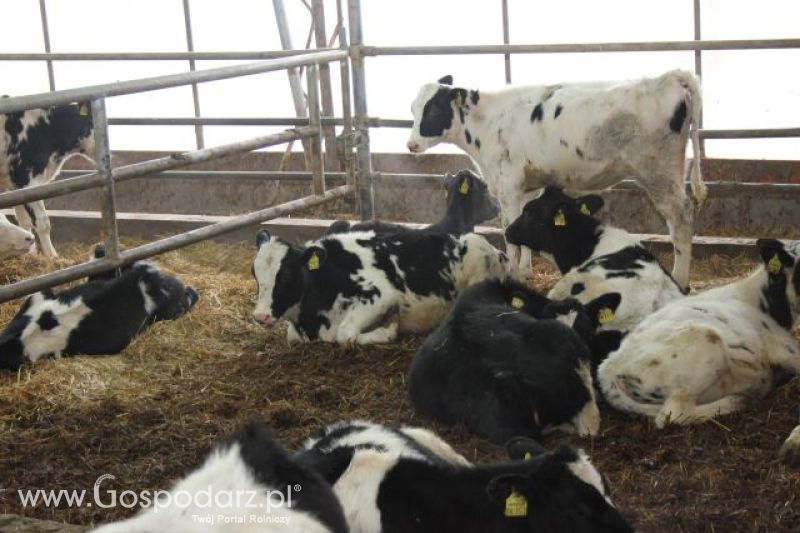 Wyjazd studyjny na farmę w Hohenhameln (Niemcy)