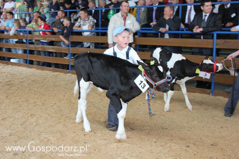 Młody hodowca na XVIII Regionalnej Wystawie Zwierząt Hodowlanych w Szepietowie