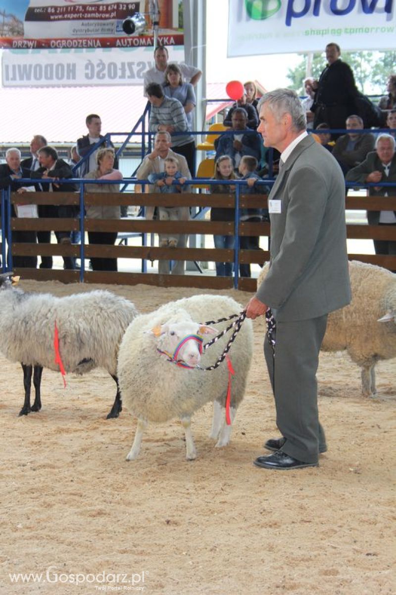 Wręczenie nagród na XVIII Regionalnej Wystawie Zwierząt Hodowlanych w Szepietowie