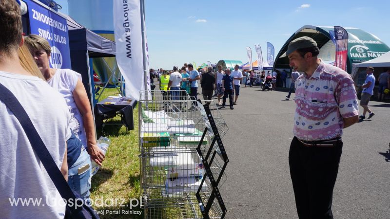 Bin na ZIELONE AGRO SHOW w Ułężu 2017