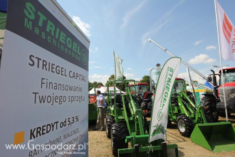 DAM-POL Agro Serwis na targach AGRO-TECH w Minikowie