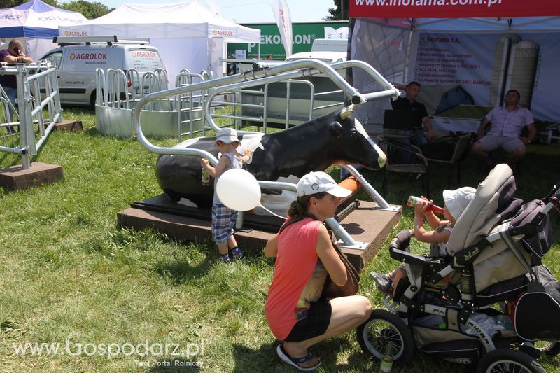  Regionalna Wystawa Zwierząt Hodowlanych W Szepietowie 2016 z Gospodarz.pl